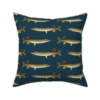 northern pike on navy blue