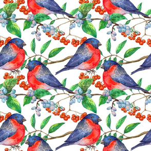 Winter seamless pattern with bullfinch watercolor painting