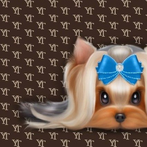 Yorkie Beauty YT Blue XL