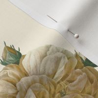 Redoute'  Yellow Rose of Texas ~ Dusty Trails on Cosmic Latte ~  custom size 