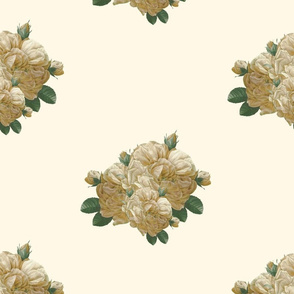 Redoute'  Yellow Rose of Texas ~ Dusty Trails on Cosmic Latte ~  custom size 