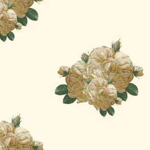 Redoute Yellow Rose of Texas ~ Dusty Trails on Cosmic Latte  