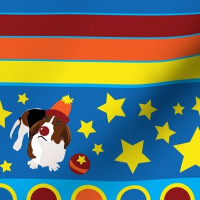 Wilbur the Circus Basset