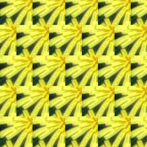 yellow flower bloom final