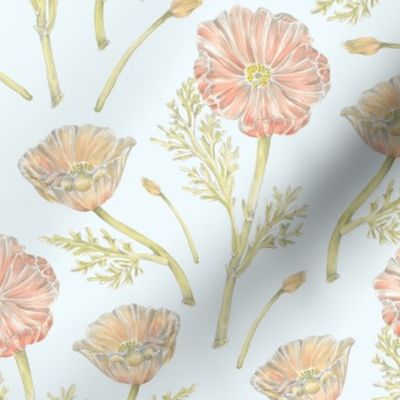 California Poppy Pattern