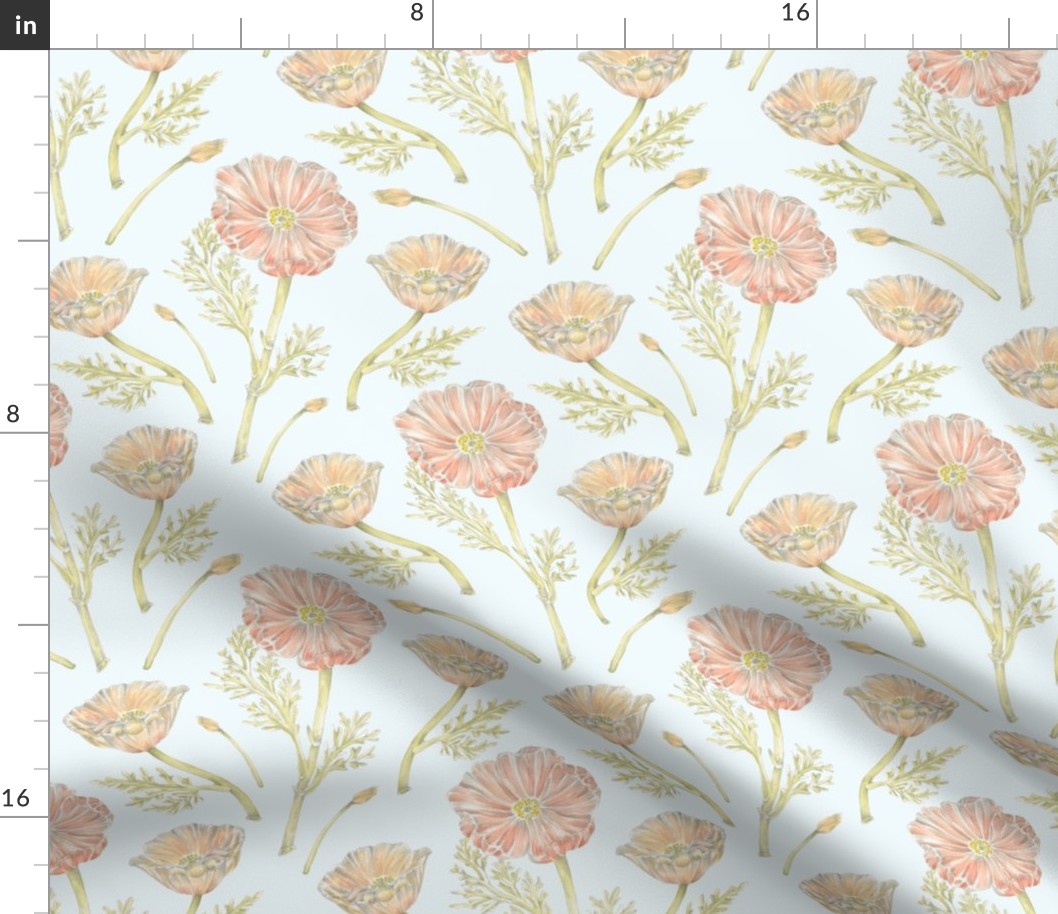 California Poppy Pattern