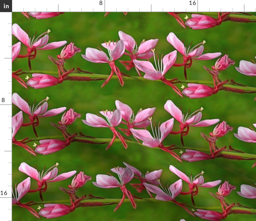 Barbed Pink Strain Clematis