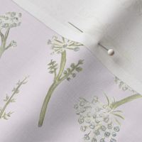 Queen Anne's Lace Pattern