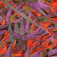Fiery Begonia Lattice