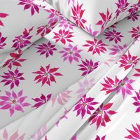 Poinsettia Flowers - Pink - Large Scale