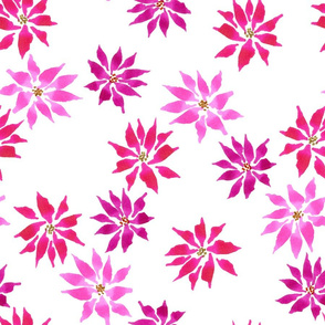 Poinsettia Flowers - Pink - Large Scale