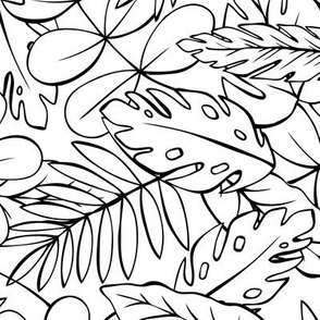 Modern Jungle - Tropical Leaves Coloring Book Style