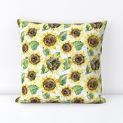 Watercolor sunflowers on white background