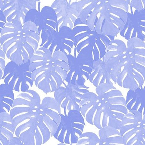 palm  monstera pastel blue tropical leaves summer botanicals