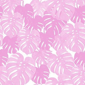 palm  monstera pastel pink tropical leaves summer botanicals