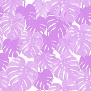 palm  monstera pastel purple tropical leaves summer botanicals