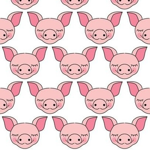 pig faces on white