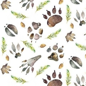 Animal Tracks w/ Pine Branch + Pinecones (white) Medium scale