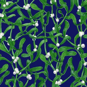 Green Mistletoe Berries Pattern Navy 