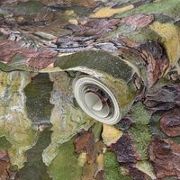 Camouflage tree bark by Salzanos 