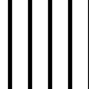 1.75" black white stripe thin black stripe wide white