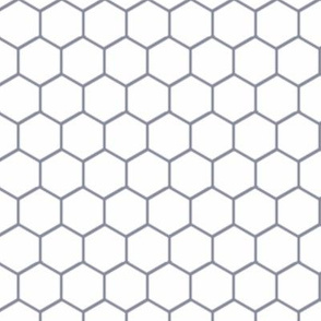 Tesalating Hexagon Pattern
