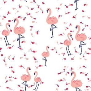Flamingo dance romance