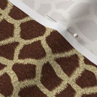 Giraffe Fur