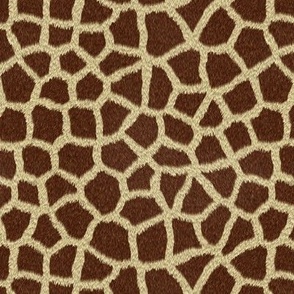 Giraffe Fur