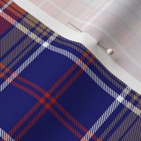 Largs district tartan, 6" bright