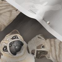 Pugs