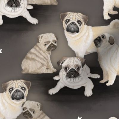 Pugs