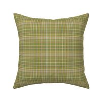 Cozy Artichoke Green Woven Plaid