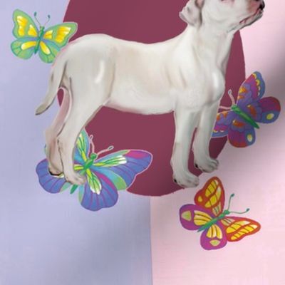 American Bulldog Fabric with Butterflies