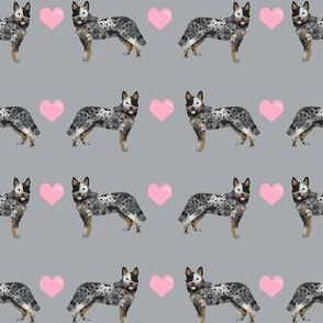 australian cattle dog blue heeler love hearts grey