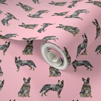 australian cattle dog blue coat fabric for cattle dog lover pink