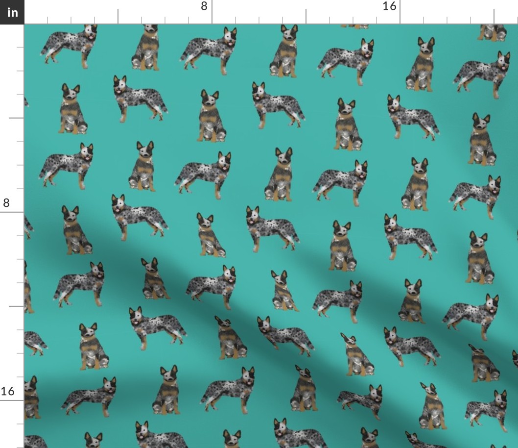 australian cattle dog blue coat fabric for cattle dog lover turquoise