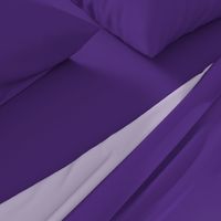 solid purple team colors