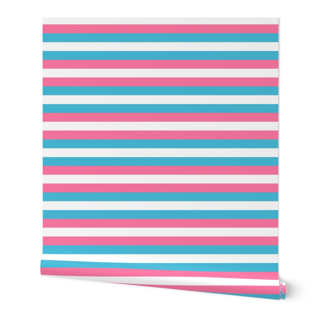 Trans Pride Stripes - 1/2 inch