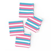 Trans Pride Stripes - 1/2 inch