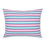 Trans Pride Stripes - 1/2 inch