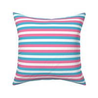 Trans Pride Stripes - 1/2 inch