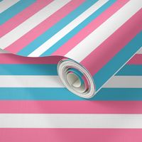 Trans Pride Stripes - 1/2 inch