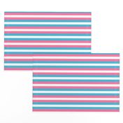 Trans Pride Stripes - 1/2 inch