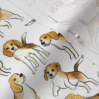 Beagles