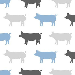 multi pigs - blue and grey