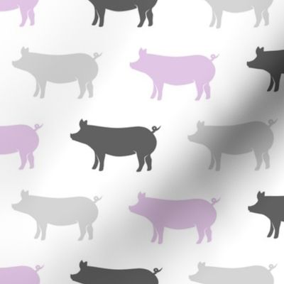multi pigs - purple and grey