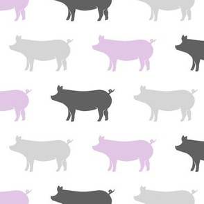 multi pigs - purple and grey