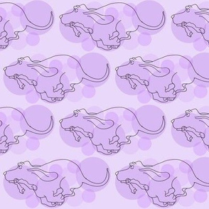 Basset Hound in Purple