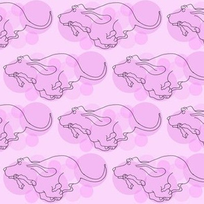 Basset Hound Design in Orchid